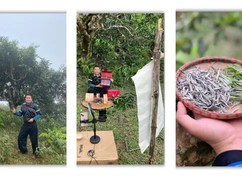 Người kể câu chuyện Phình Hồ bằng trà, mây và công nghệ