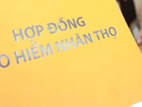 Mua bảo hiểm nhân thọ, khi tử vong được hưởng bao tiền?