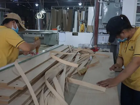 Hơn 280.000 ha rừng được trồng mới trong năm 2025