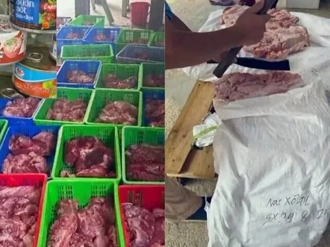 Vụ 120 tấn thịt lợn dịch tả: Lộ diện 9 bị can bị khởi tố, Đồ hộp Hạ Long tuyên bố "Công ty chỉ là bên có liên quan"