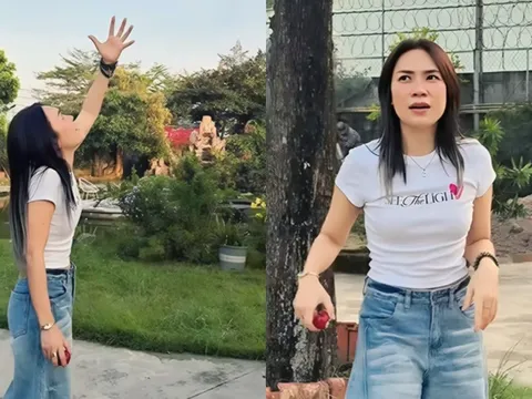 Cảnh tượng đặc biệt bên trong nhà vườn của Mỹ Tâm sau 4 năm