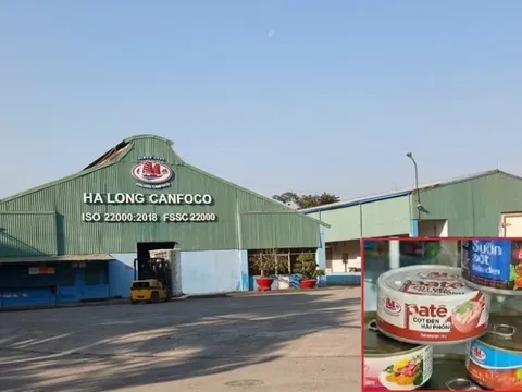 Nóng: Bắt khẩn cấp Tổng Giám đốc Đồ hộp Hạ Long