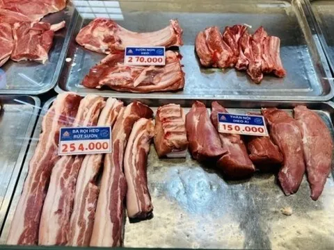 Giá heo hơi hôm nay 10/1: Tăng trên cả 3 miền, dao động trong vùng giá 62.000 - 72.000 đồng/kg