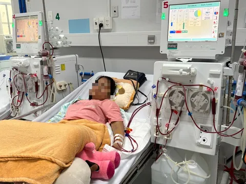 Phát hiện muộn suy thận mạn, nhiều trẻ sống phụ thuộc vào máy lọc máu 0