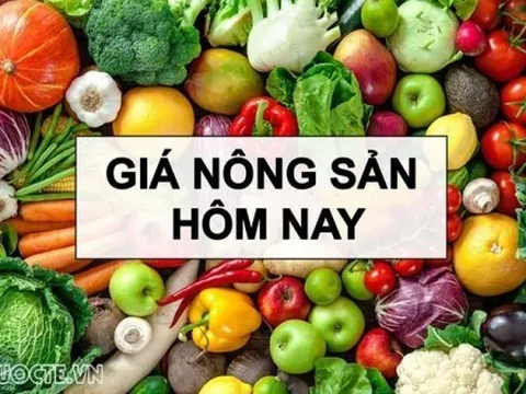 Giá nông sản hôm nay 10/1/2026: Giá cà phê đồng loạt 'lao dốc'; Tòa án tối cao Mỹ chưa có quyết định về thuế quan của Tổng thống Trump