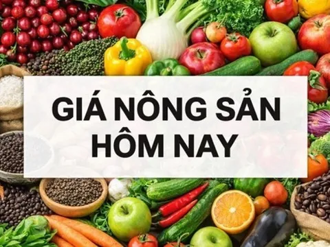 Giá nông sản hôm nay 12/1/2026: Giá cà phê trong nước không như mong đợi, Giá tiêu tăng hai tuần liên tiếp; Chủ tịch Fed bị điều tra hình sự