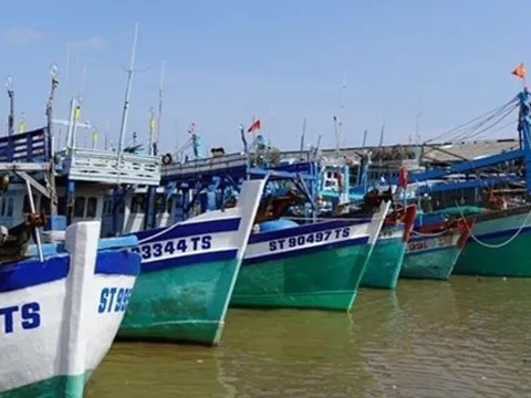 Chống khai thác IUU: 9 nội dung trọng tâm trước thời điểm đoàn thanh tra EC sang Việt Nam