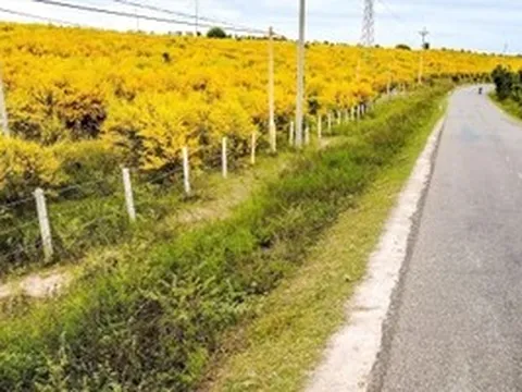 Điểm ‘check-in gây sốt’ khi du lịch Phan Thiết