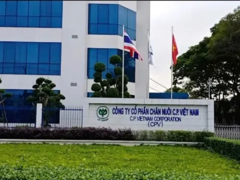Thanh tra ba 'ông lớn' cung cấp thịt sạch, thức ăn chăn nuôi