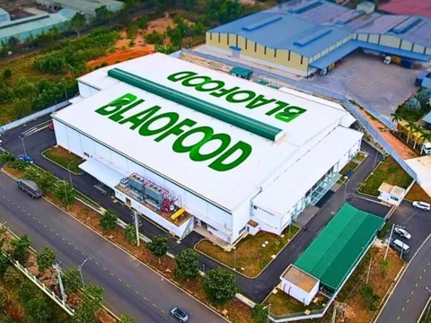 Công ty Việt Nam đầu tiên xuất khẩu nông sản đông lạnh ra thế giới chốt ngày chào sàn HOSE, giá tham chiếu 40.900 đồng/cp