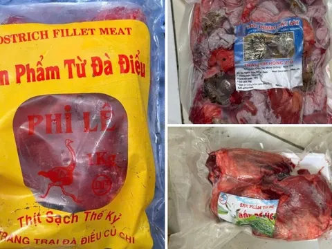 Đột kích loạt kho xưởng phù phép 50 tấn thịt heo thành thịt đà đà điểu, dê, nhím