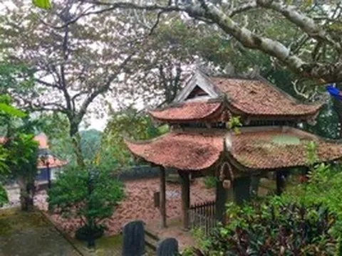 Không xây bảo tàng, ưu tiên bảo tồn giá trị gốc chùa Đọi Sơn