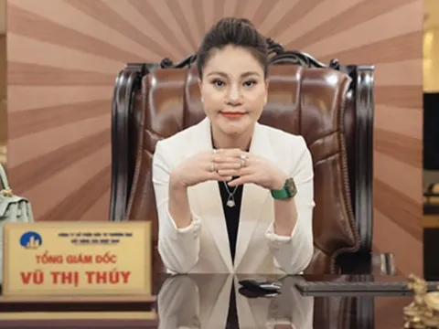 Xử phạt bà Vũ Thị Thúy và Sông Đà Nhật Nam