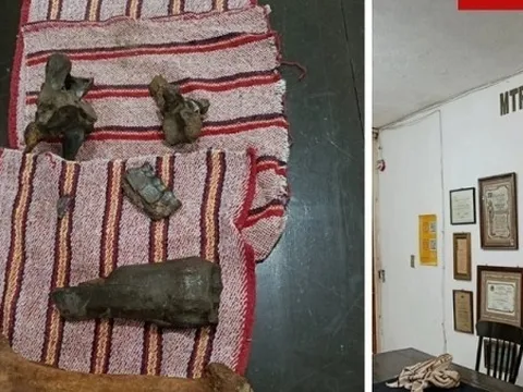 Mexico: Phát hiện hóa thạch nhiều động vật khổng lồ thời tiền sử trong hang động