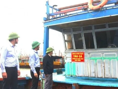 Chống khai thác IUU: Quảng Trị thành lập 2 tổ kiểm soát liên ngành bám ngư trường; Vĩnh Long kiểm soát nghiêm hoạt động tàu cá ra, vào cảng