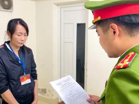 Khởi tố nữ giám đốc mua thực phẩm trôi nổi, làm hóa đơn giả để trốn thuế