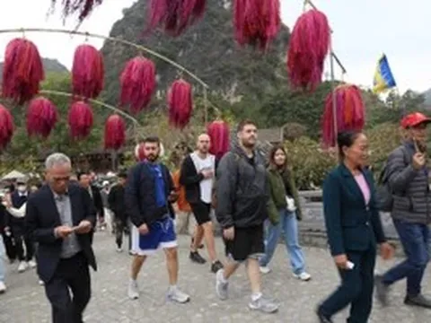 Kinh doanh lữ hành trái phép bị phạt đến 100 triệu đồng