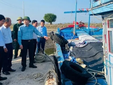 Chống khai thác IUU: Thanh Hóa hoàn thành 19/19 nhiệm vụ thường xuyên