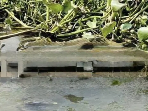 Sau cuộc gọi cho bố, nam thanh niên 24 tuổi được phát hiện tử vong dưới sông