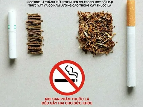 Làm rõ về độc tính của nicotine để phòng chống đúng tác hại của thuốc lá
