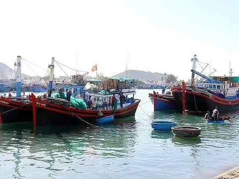 Thủ tướng chỉ đạo quyết tâm gỡ 'thẻ vàng' IUU trong tháng 4