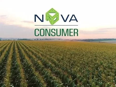 DN thuộc hệ sinh thái Nova Group của ông Bùi Thành Nhơn liên tiếp miễn nhiệm Giám đốc Tài chính và Tổng Giám đốc