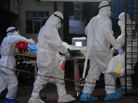 Virus Nipah bùng phát ở Ấn Độ, TP.HCM ra thông báo mới 0