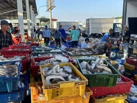 Chính phủ ban hành Nghị định quy định chi tiết thi hành Luật Thủy sản