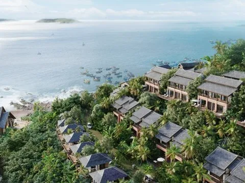 Vinam Land lỗ ròng hơn 100 tỷ đồng trong nửa đầu năm 2025