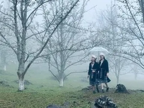 Khi núi rừng 'khoác áo trắng' mùa hoa lê