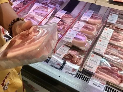 Giá heo hơi hôm nay 30/1: Miền Bắc hạ nhiệt, miền Nam đi ngang