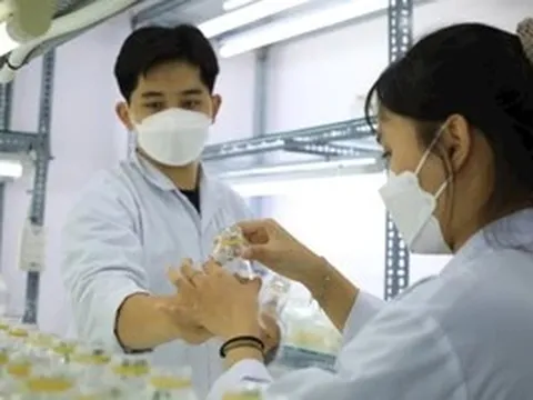 Chuyển từ tư duy mở rộng lựa chọn sang nâng cao chất lượng tuyển sinh đại học