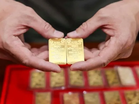 Cảnh báo bẫy FOMO và bài học về tâm lý thép khi đầu tư vàng