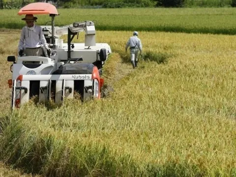Xuất khẩu nông sản của Nhật Bản lập đỉnh mới 13 năm liên tiếp