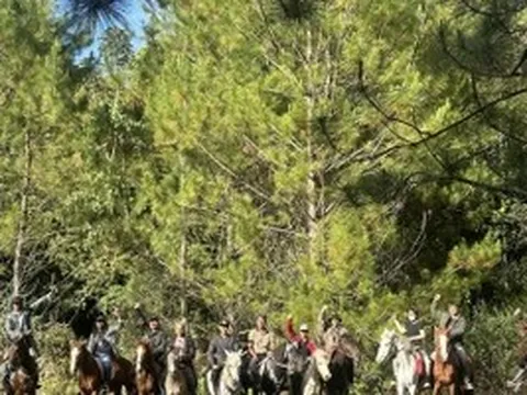 Vó ngựa Lang Biang: Câu chuyện bảo tồn di sản sống