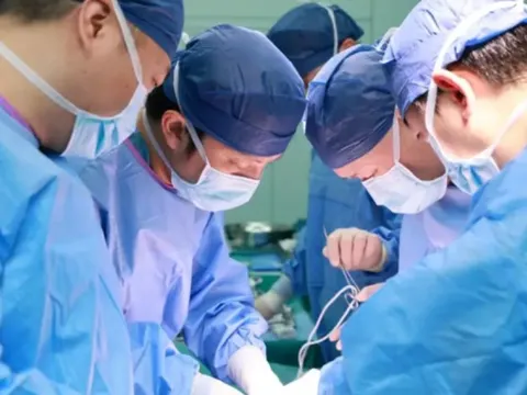 Trung Quốc ứng dụng gan lợn chỉnh sửa gen hỗ trợ điều trị suy gan 1