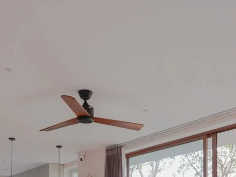 Không gian với góc nhà đầy hoa lá, tràn ngập ánh sáng