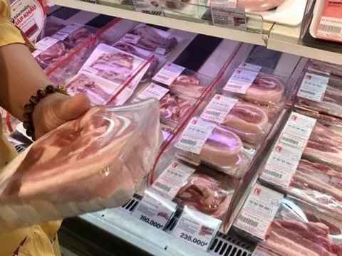 Giá heo hơi hôm nay 10/2: Điều chỉnh giảm rải rác, giao dịch phổ biến trong vùng giá 71.000 - 75.000 đồng/kg