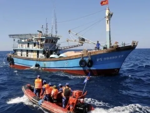 Yêu cầu tổ chức ngay các đoàn kiểm tra, thanh tra xử lý vi phạm IUU