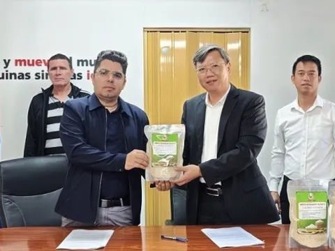 Bàn giao 250 tấn gạo do doanh nghiệp Việt Nam sản xuất, góp phần bảo đảm an ninh lương thực cho Cuba