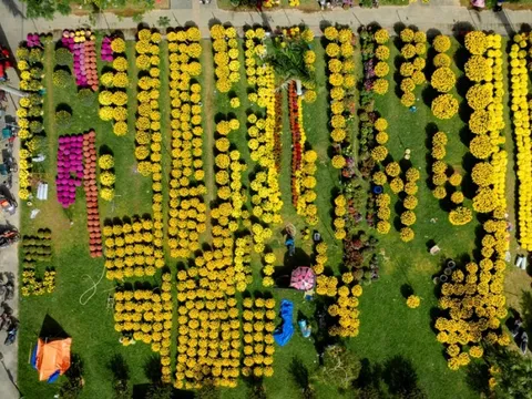 Nhộn nhịp chợ hoa Xuân ở Cố đô Huế