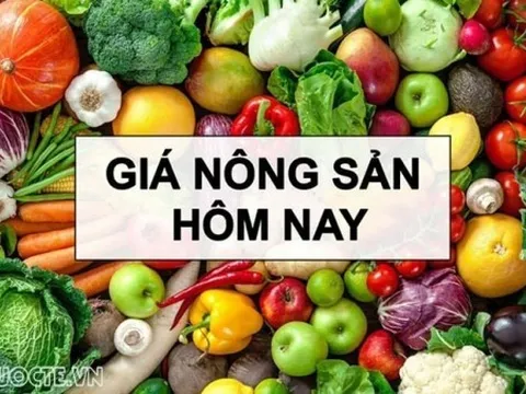 Giá nông sản hôm nay 15/2/2026: Giá cà phê kỳ vọng tăng, thị trường có thật 'dư cung'? Trung Quốc 'mở toang cửa' cho hàng hóa châu Phi