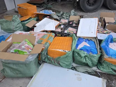 Tiêu hủy hơn 28 tấn thực phẩm đông lạnh không rõ nguồn gốc