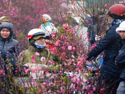 Không khí lạnh tăng cường, miền Bắc chuyển rét từ mùng 1 Tết