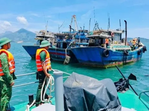 Đà Nẵng thông qua chính sách hỗ trợ phát triển thủy sản, nỗ lực khắc phục ‘thẻ vàng’ IUU