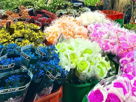 Chợ hoa đêm Quảng Bá - 'Hồn Tết' của đất Hà Thành