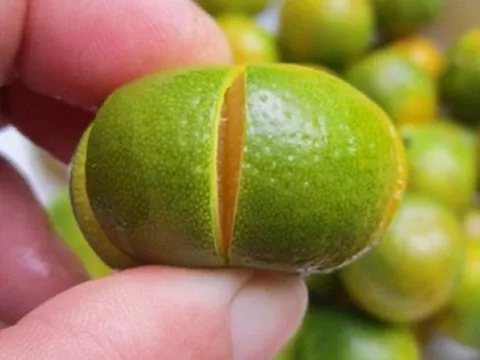 Loại quả là “báu vật" ngày Tết, đi chợ thấy bỏ qua quá phí