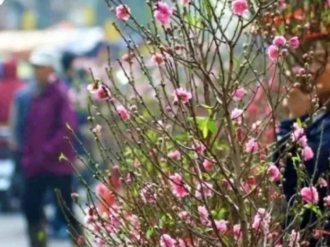 Thời tiết cả nước từ mùng 3 đến mùng 6 Tết Bính Ngọ