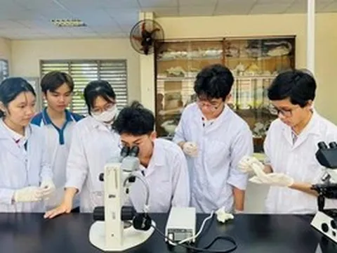 'Nâng chất' giáo viên: Động lực từ chính sách bền vững