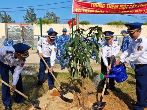 Sôi nổi hoạt động Tết trồng cây tại miền Trung